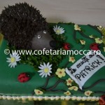 Tort pentru copii arici oradea (130)