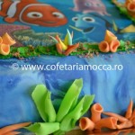 Tort aniversar Nemo oradea (396)