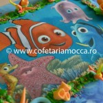 Tort aniversar Nemo oradea (396)