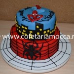 Tort pentru copii oradea spider man(83)